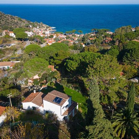 Villa Caterina Quiete E Mare-Goelba SantʼAndrea Kültér fotó