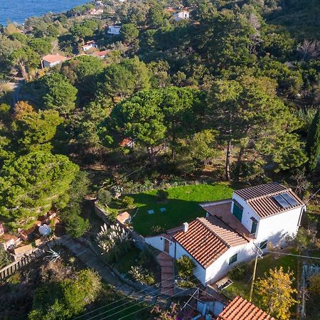 Villa Caterina Quiete E Mare-Goelba SantʼAndrea Kültér fotó