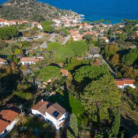 Villa Caterina Quiete E Mare-Goelba SantʼAndrea Kültér fotó