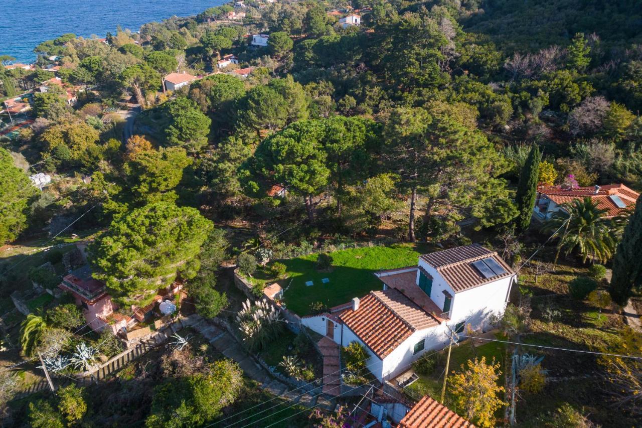 Villa Caterina Quiete E Mare-Goelba SantʼAndrea Kültér fotó