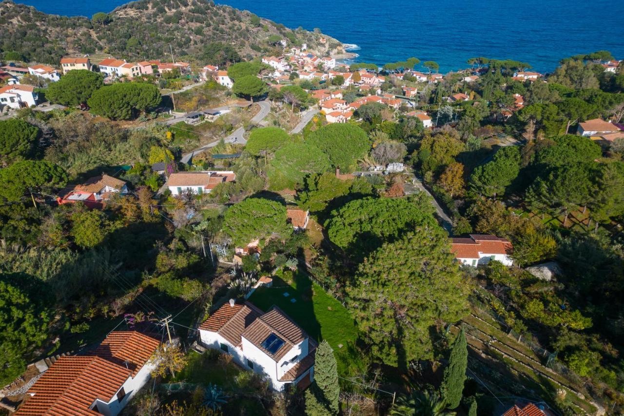 Villa Caterina Quiete E Mare-Goelba SantʼAndrea Kültér fotó