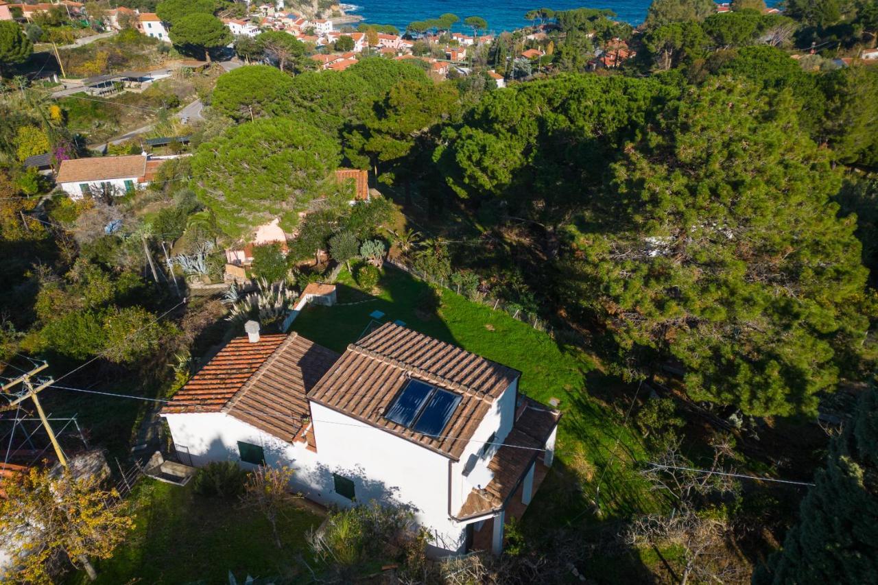 Villa Caterina Quiete E Mare-Goelba SantʼAndrea Kültér fotó